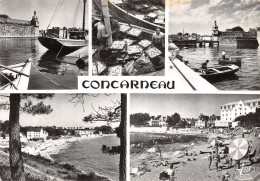 29-CONCARNEAU-N°4209-D/0165 - Concarneau