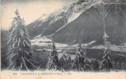 74-CHAMONIX-N°5154-F/0013 - Chamonix-Mont-Blanc