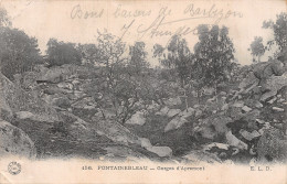 77-FONTAINEBLEAU GORGES D APREMONT-N°5154-H/0339 - Fontainebleau