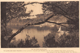 83-ILE DE PORT LES GOLFES-N°5154-H/0087 - Sonstige & Ohne Zuordnung