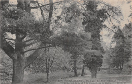 78-VERSAILLES HAMEAU DU PETIT TRIANON-N°5154-G/0215 - Versailles (Château)