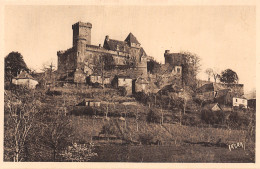 46-CHÂTEAU DE CASTELNAU-N°5155-B/0173 - Other & Unclassified