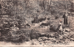 19-CORREZE NOS CAMPAGNES RUISSEAU-N°5155-A/0281 - Sonstige & Ohne Zuordnung