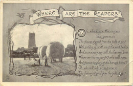 Postcard Where Are The Reapers Agriculture Farmers Types And Scenes - Other & Unclassified