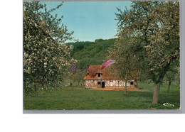 MA NORMANDIE - Une Maison En Colombage Avec Ces Pommiers En Fleurs Carte Vierge - Basse-Normandie