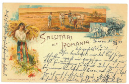 RO 47 - 21328 ETHNIC, Country Life, Litho, Romania - Old Postcard - Used - 1899 - Roemenië