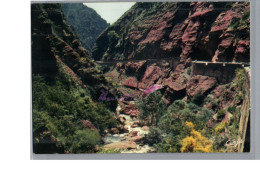 GORGES DU CIAN 06 - La Route De Touët Sur Var à BEUIL VALBERG Avant La Petite Clue - Autres & Non Classés