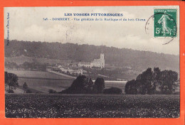 06077 / DOMREMY 88-Vosges Vue Generale Basilique Du Bois CHENU 1910s à GERARD Pagny-Photo HOMEYER EHRET Epinal - Domremy La Pucelle