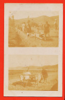 06468 / Carte-Photo Possible MACEDOINE Ou GRECE Construction Route Par Femmes Et Attelage Boeufs Bi-vues 1915s  - Macédoine Du Nord