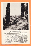06460 / Cliché BUDE 104-ATHENES ACROPOLE Vue Prise Bois CYPRES De Colline Des MUSES Ou PHILOPAPPOS 1950s-BELLES LETTRES - Grèce