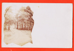 06049 / ♥️ ⭐ ◉ Carte-Photo 1890s BOULOGNE-BILLANCOURT (92) Bois De..  - Boulogne Billancourt