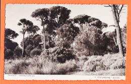 06424 / Rare île De SKIATHOS KOUKOUNARIES  1940s Grece Photo STOURNARAS BOLOS - Griechenland