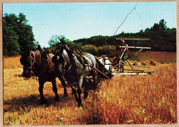 06290 / Midi Pyrenées La MOISSON Faucheuse Chevaux Les Petits Métiers De Chez Nous - Toilée AS COEUR N°37 Cpagr - Equipos