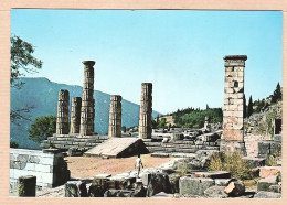 06359 / DELPHES Delphi Temple APOLLON APOLLO Ansicht APOLLOTEMPLES 1980s- TOUMBSIS - Grèce Griechenland Greece - Griechenland