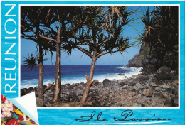 Ile De La Réunion - Vacoas à Manapany - Otros & Sin Clasificación