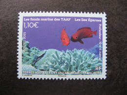 TAAF:  TB N° 1005, Neuf XX. - Neufs