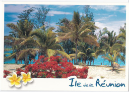 Ile De La Réunion - St. Leu - Other & Unclassified
