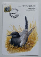 Carte Maximum Avec Impression Privé Création Du Cercle Philatélique André Buzin 14 Juin 2003 Guifette Noire - 1985-.. Oiseaux (Buzin)