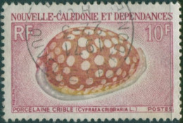 New Caledonia 1968 SG449 10f Sieve Cowrie Shell FU - Other & Unclassified