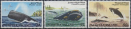 Norfolk Island 1982 SG284-286 Whales Set MNH - Norfolkinsel