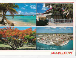 Guadeloupe - Multivues - Andere & Zonder Classificatie