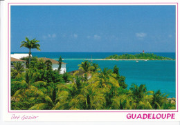 Guadeloupe - Ilet De Gosier - Other & Unclassified