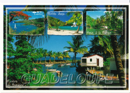 Guadeloupe - Multivues - Andere & Zonder Classificatie
