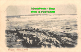 R454149 Amble. Coquet Island. Postcard - World