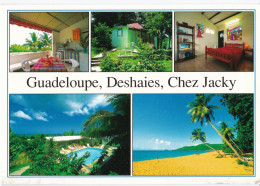 Guadeloupe - Deshaies - Chez Jacky - Andere & Zonder Classificatie