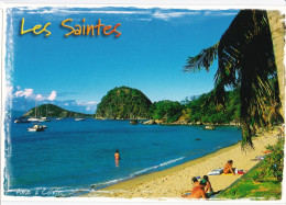 Les Saintes - Anse à Cointe, Plage De Bois Joli - Autres & Non Classés