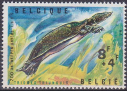 Belgique  Belgien 1965 1348 ** - Unused Stamps