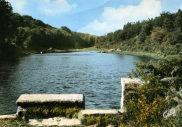 CPSM  SAINT-NICOLAS-DU-PELEM -  Etang De Beaucours. - Saint-Nicolas-du-Pélem