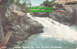 R454171 Sutherland. Salmon Leaping The Falls Of Shin. J. B. White. The Best Of A - World