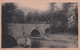 CHANAC . Le Pont Vieux .  - Chanac