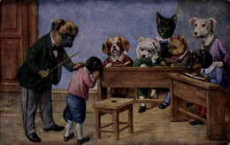 Artiste CPA Hundeschule, Lehrer, Dackel, Vermenschlichte Hunde - Other & Unclassified