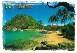 Les Saintes - Plage Du Pain De Sucre - Other & Unclassified