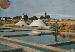 85 - Carte Postale Semi Moderne De  NOIRMOUTIER Les Marais Salants - Noirmoutier