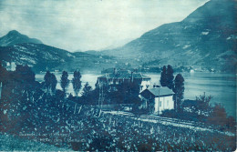 Duingt - Lac D'Annecy - Gd Hôtel Des Libellules - Duingt