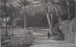 Rare NICE CPA Novembre 1914 - Groupe De Palmiers Au Château Monaco, Menton ( Éditeur L. L. Léon & Lévy ) - TBE - Menton