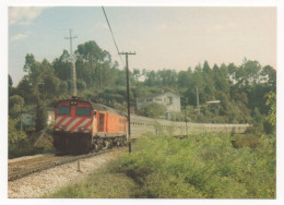 PASSAGE À STA. COMBA DÂO D'UN TRAIN SUPPLÉMENTAIRE D'EMIGRANTS, DE PORTO À HENDAYE, REMORQUÉ PAR LA 1983 . 22 AOUT 1983 - Trains