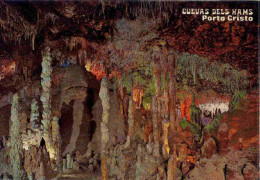 Majorque - Grotte De Hams - Sonstige & Ohne Zuordnung