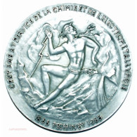 Médaille 100 Ans Chimie Pechiney 1855-1955 Par Belmondo - Adel