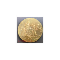 Médaille Alliance Française Colonies Par Daniel DUPUIS, LARTDESGENTS.FR - Adel
