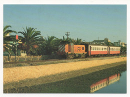 UN TRAIN OMNIBUS DE VIA REAL DE SANTO ANTÔNIO RALENTIT AVANT L'ENTRÉE DE FARO - LA LOCOMOTIVE EST UNE BRISONEAU ET LOTZ - Eisenbahnen