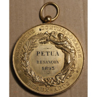 Médaille Acad. Contemp. Beaux Arts 1893 Attribuées Au Peintre Pétua, Lartdesgents.fr - Adel