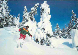 Sports - Ski - CPM - Voir Scans Recto-Verso - Wintersport