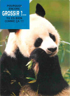 Animaux - Panda - Carte à Message - CPM - Carte Neuve - Voir Scans Recto-Verso - Sonstige & Ohne Zuordnung