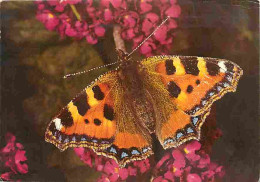 Animaux - Papillons - Small Tortoiseshell - Anglais Urticae - Photographed By G Hyde - Fleurs - CPM - Voir Scans Recto-V - Papillons