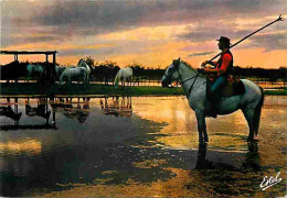 Animaux - Chevaux - Camargue - Gardians - Coucher De Soleil - Voir Scans Recto Verso  - Horses