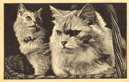 Chat * CPA Illustrateur * Race ? * Thème Chats Cat Cats Katze - Gatos